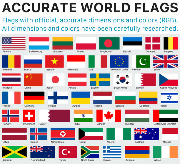 공식 rgb 색상 및 공식 사양의 정확한 세계 국기 - ireland south africa stock illustrations