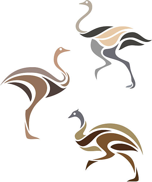 stylizowane ptaków - nandu szare obrazy stock illustrations