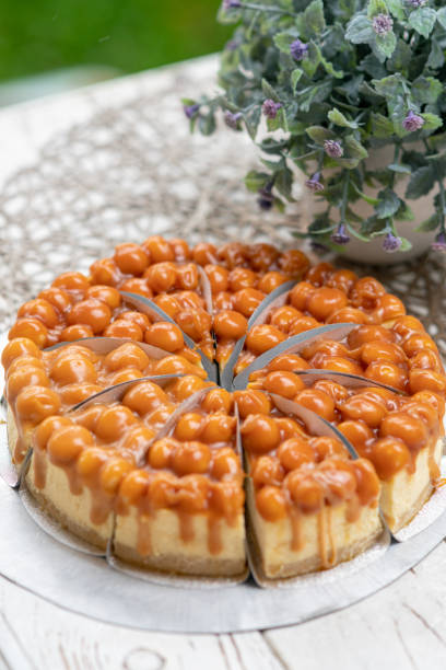 istock macadamia nuts with caramel sauce cheese cake 1641648024