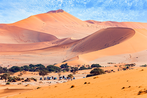 Namib Desert. Deadvlei is the main natural attraction in the Park Namib-Naukluft. The bottom of the dried lake and the petrified remains of ancient trees.