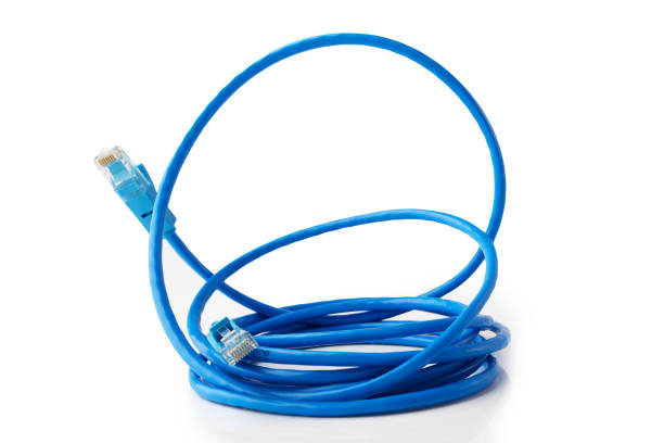 istock Internet cable, high-speed ethernet connection for seamless online browsing, White background 1641659183