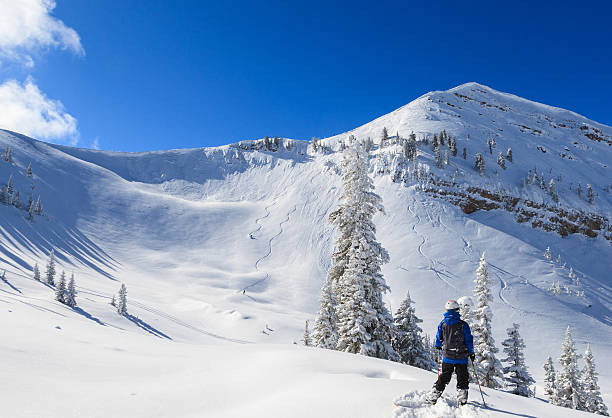paradis des skieurs - ski track powder snow track snow photos et images de collection