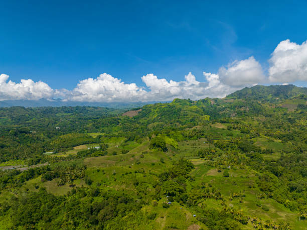 paysage tropical avec montagne tropicale à mindanao, philippines. - general santos photos et images de collection