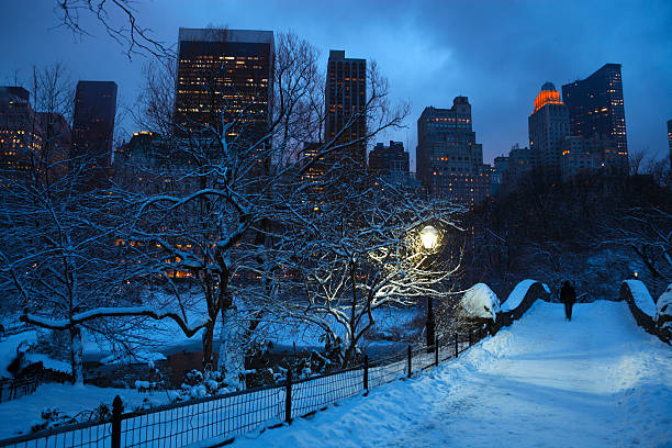 istock Man Walks Across Central Park Bridge in Snow 164170240