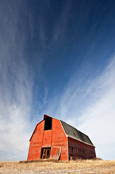 Red Barn A classic red barn on the plains. lethbridge alberta stock pictures, royalty-free photos & images