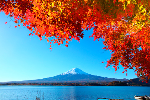 Mt.Fuji in fall