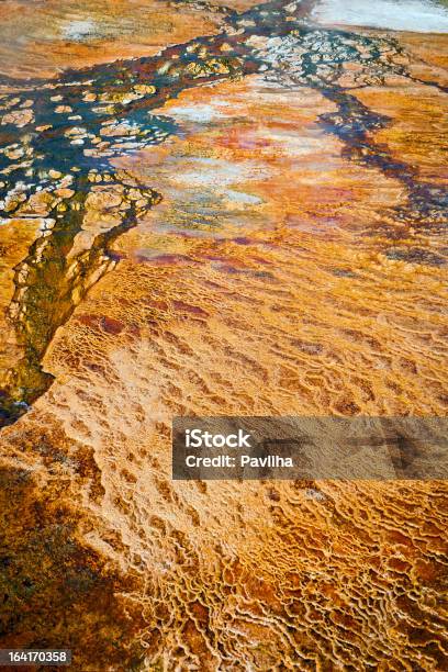 Hermosos Detalles De Condena De Yellowstone Wyoming Ee Uu Foto de stock y más banco de imágenes de Aire libre