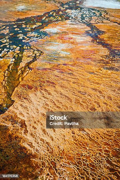 Bellissimo Dettaglio Di Mammoth Primavera Yellowstone Wyoming Usa - Fotografie stock e altre immagini di Ambientazione esterna