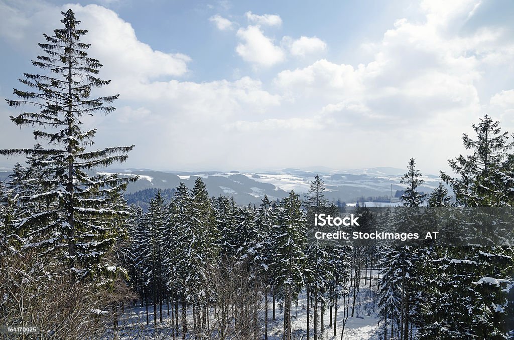 Paisagem de inverno na Áustria - Foto de stock de Inverno royalty-free