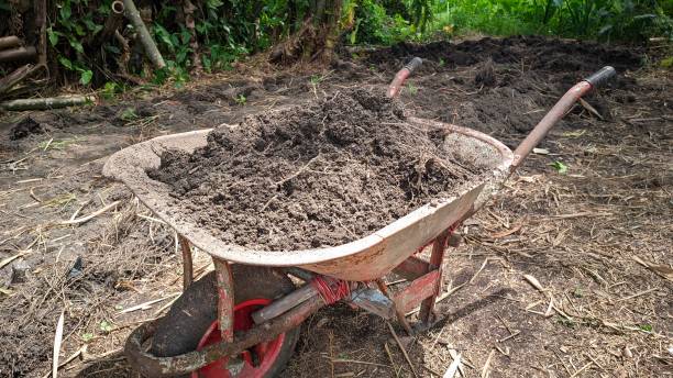 istock a crimson cart filled with fertile clay 1641705241