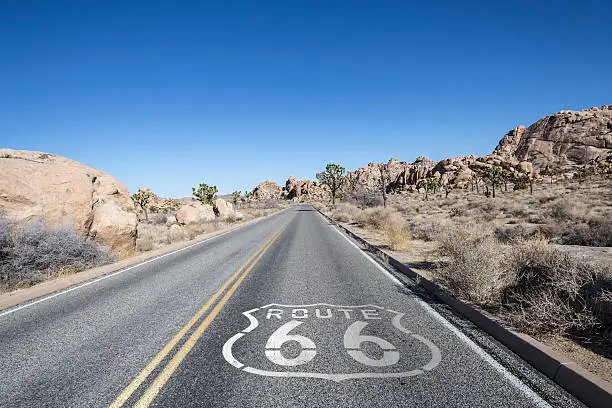 Joshua tree highway with Route 66 pavement sign in California's Mojave desert.
