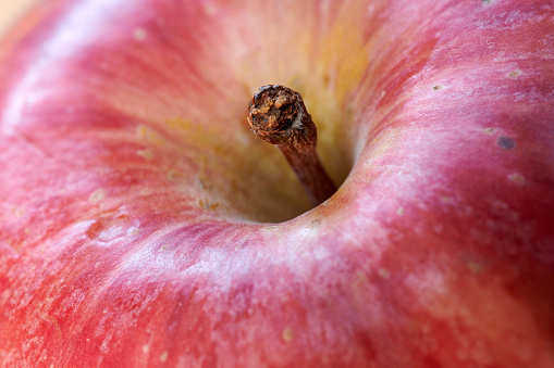 red wet apple with a bite on wooden table in watercolors