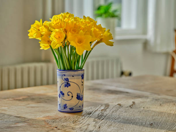 istock A bouquet of Daffodils 1641736328