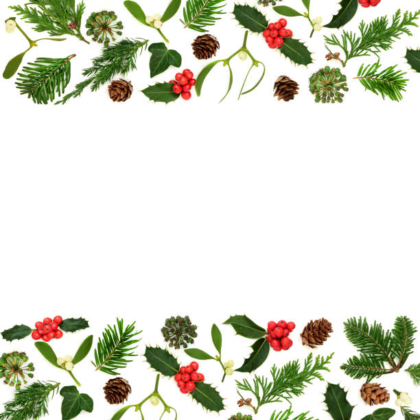 istock Traditional Christmas Winter Greenery Background Border 1641751199
