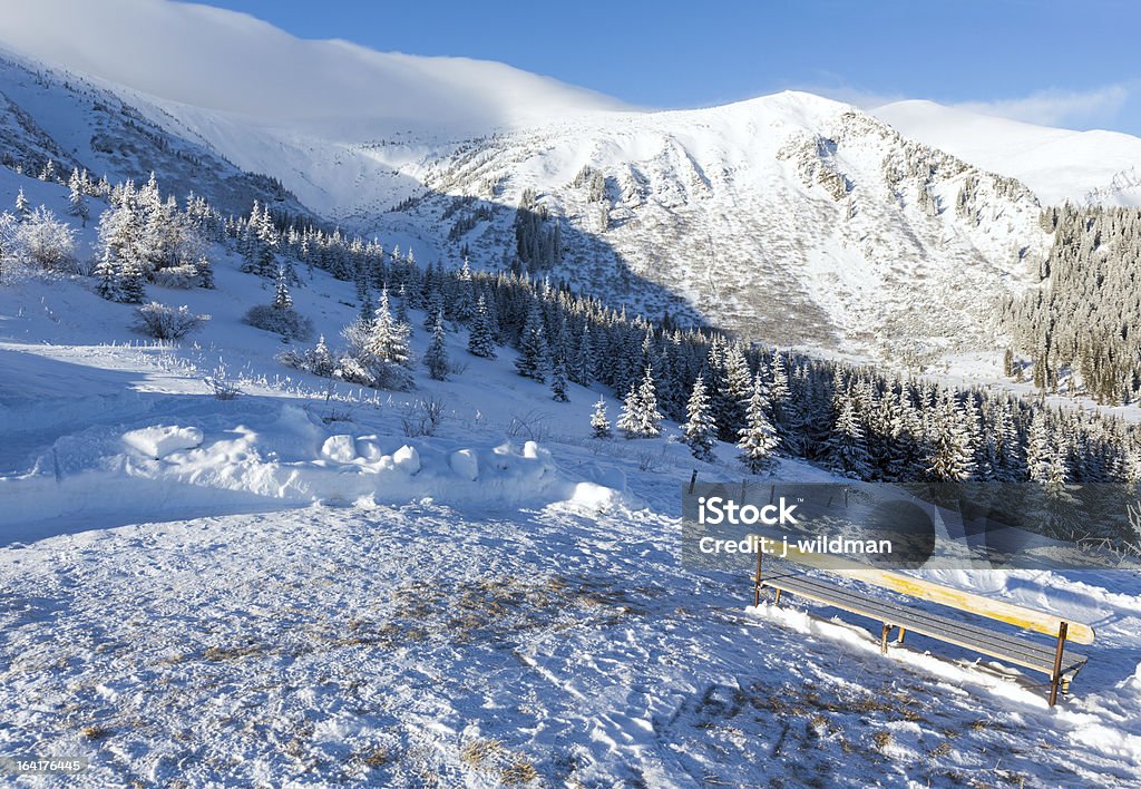 Mañana de las montañas de invierno paisaje de - Foto de stock de Abeto libre de derechos