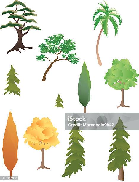 다양한 나무 노간주나무에 대한 스톡 벡터 아트 및 기타 이미지 - 노간주나무, 벡터, 나무