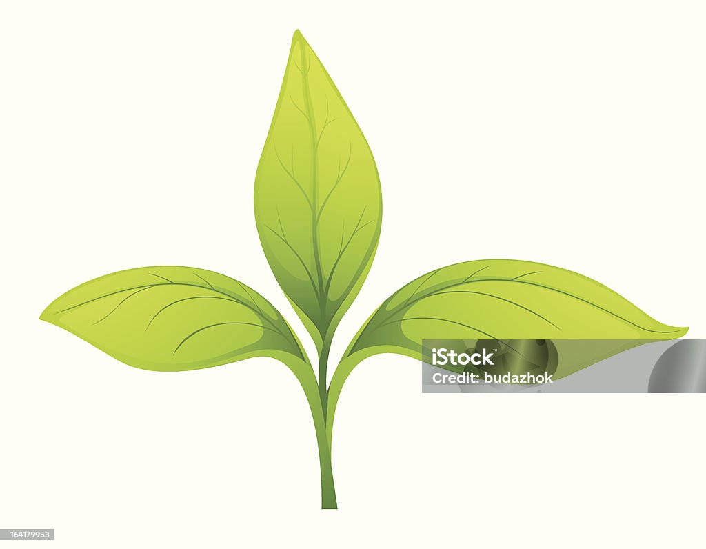 leafs - Grafika wektorowa royalty-free (Kwiat - Roślina)