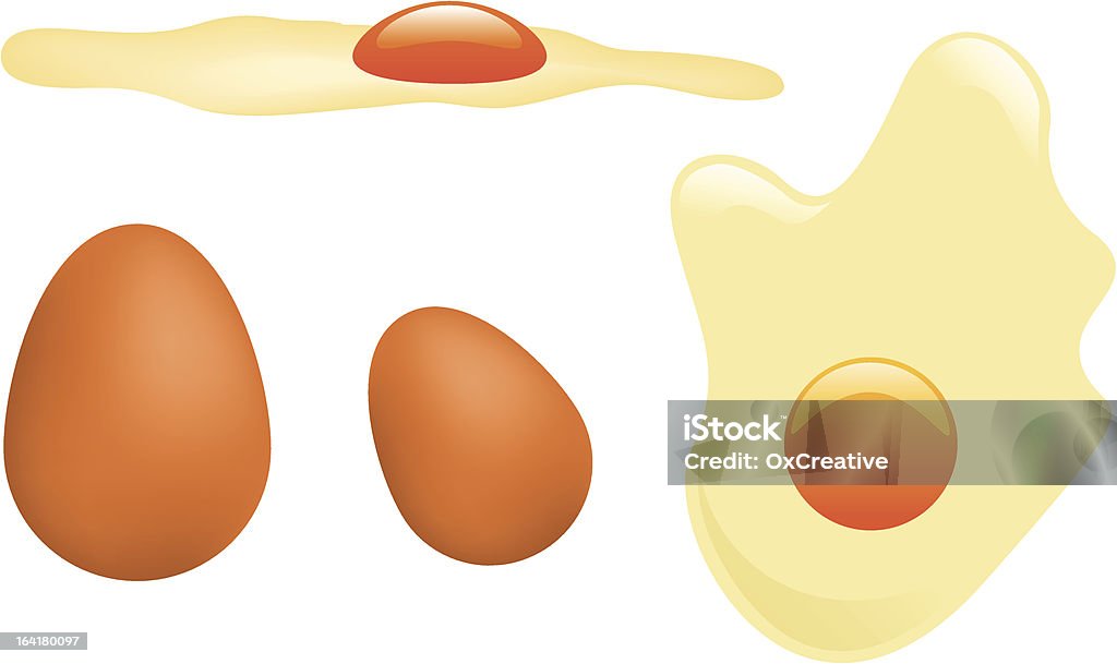 Eier in der Muschel und gebratener-Vektor-Grafik - Lizenzfrei Freilandhuhn Vektorgrafik