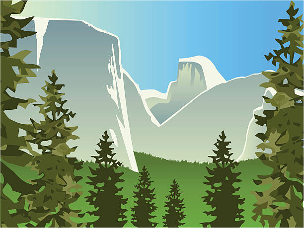 Yosemite Valley "A look through the trees to El Capitan, Half Dome and the rest of Yosemite National Park." yosemite national park stock illustrations