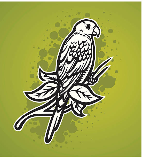 hand-drawn parrot vector art illustration