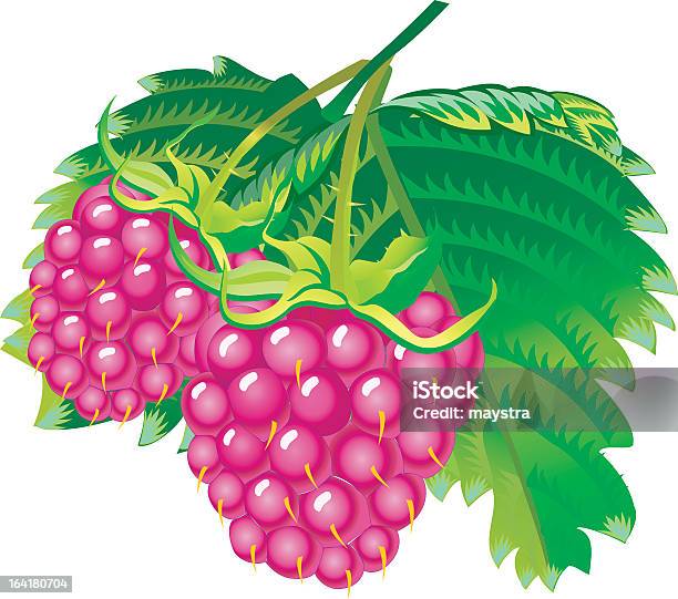 Le Raspberries Vecteurs libres de droits et plus d'images vectorielles de Aliment - Aliment, Aliments et boissons, Confiture