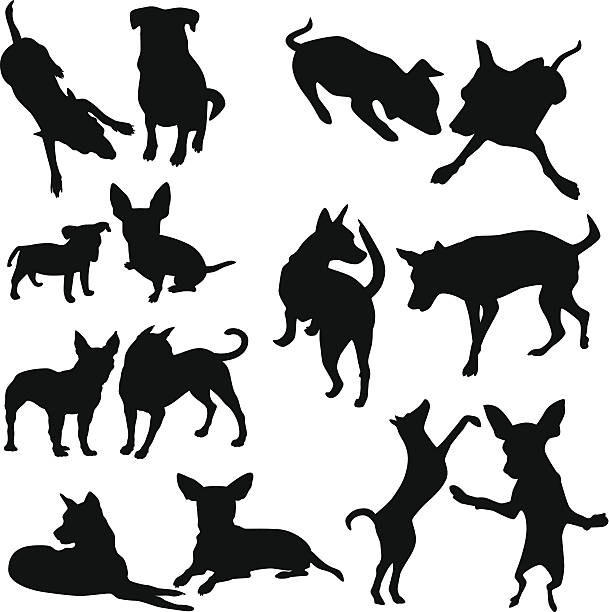 Silhouette of Dogs, Puppy - seamless background : Vector silhouettes of dogs and puppies in different actions dog sitting icon stock illustrations