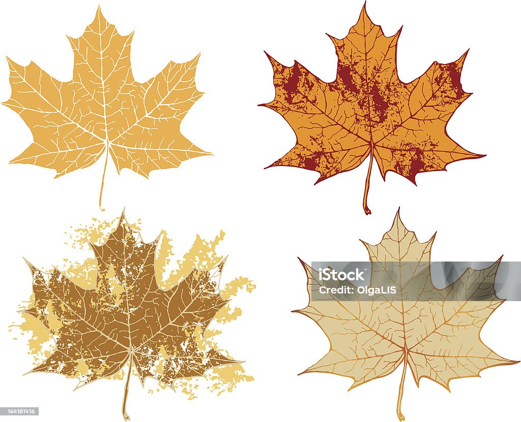 추절 메이플 그런지 잎 - 로열티 프리 썩음 벡터 아트