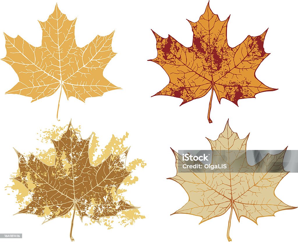 Outono maple folhas de grunge - Vetor de Apodrecer royalty-free