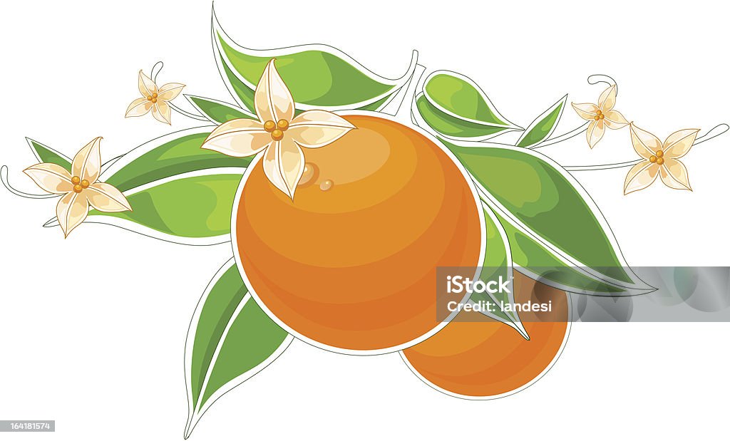 ベクトル装飾オレンジフルーツの枝 - 3Dのロイヤリティフリーベクトルアート