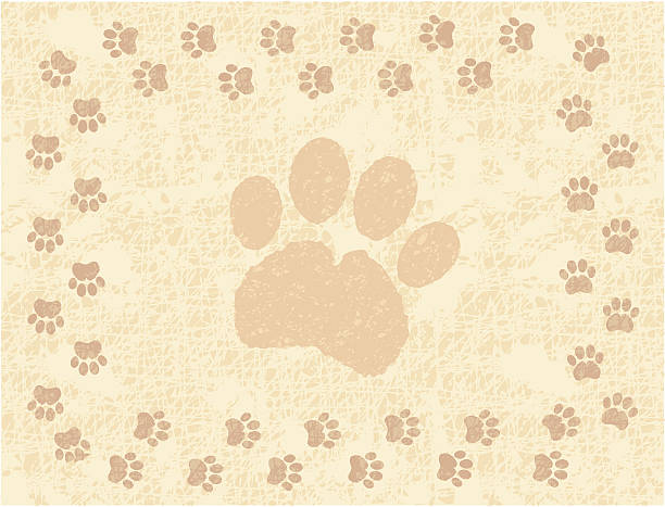 illustrazioni stock, clip art, cartoni animati e icone di tendenza di orma di zampa animale bordo - paw print animal track dirt track