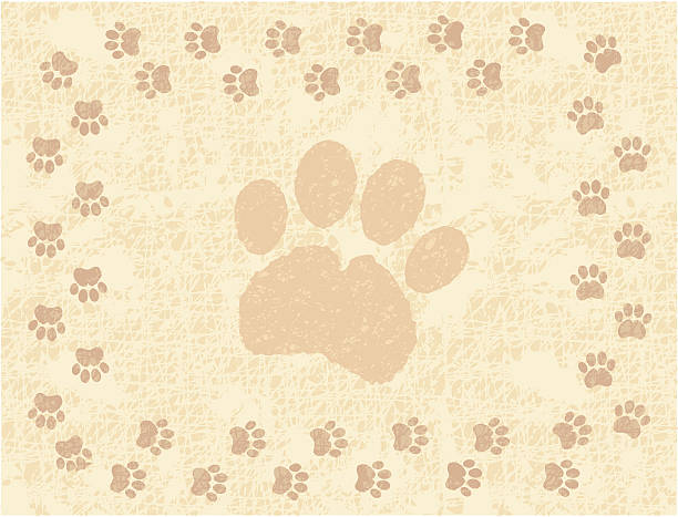 paw プリントのボーダー - paw print animal track dirt track点のイラスト素材／クリップアート素材／マンガ素材／アイコン素材