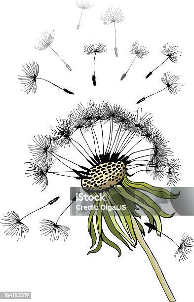 Silhouette Of Dandelion In The Wind Stock Illustration - Download Image Now - Abstract, Art And Craft, Autumn