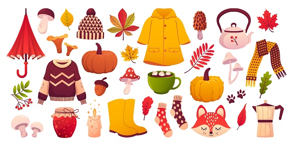 Set autumn collection of autumn elements