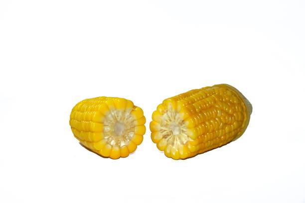 istock Sweetcorn half put on white background with isolated picture. 1641880423