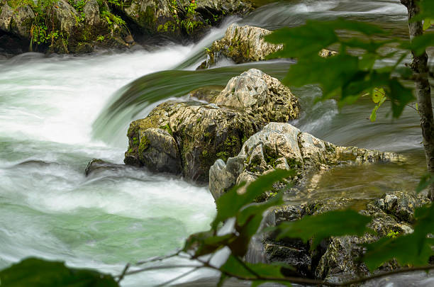 istock Roaring Fork Creek in the Smokies 164190138