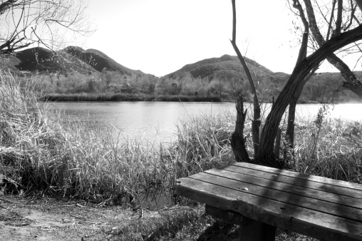 This is a bench sitting empty and isolated by a lake.