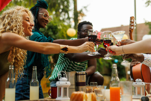 istock Friends cheering with their drinks during a relaxing picnic 1641903414
