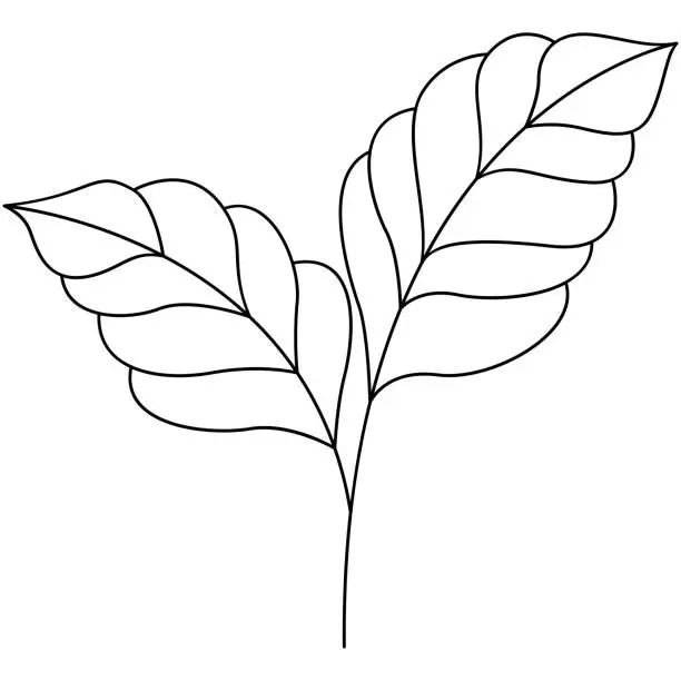 Vector illustration of Leaf line art. Design element with floral theme.