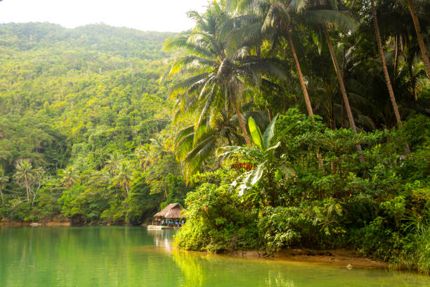 Beautiful golden sunset light at Loboc River at Bohol, Philippines. Small hut surrounded by jungle, copy space for text