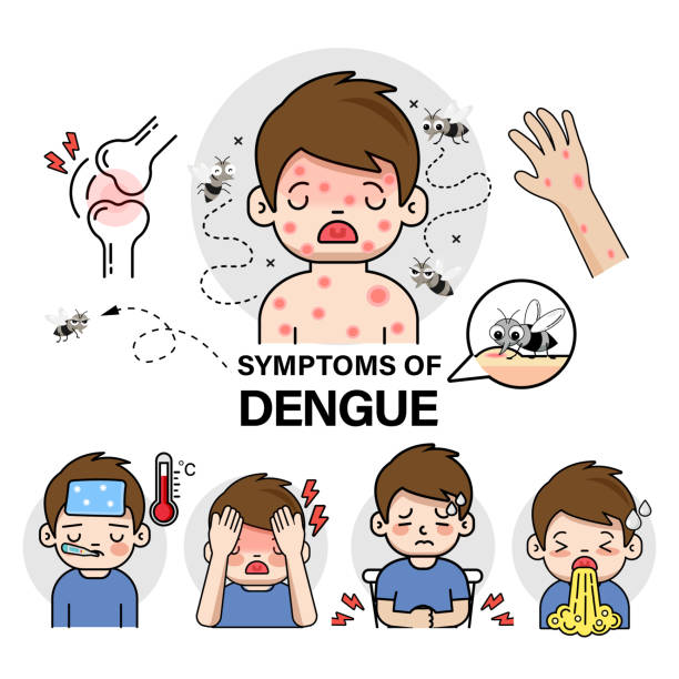 Dengue Fever Prevention dengue-fever-prevention