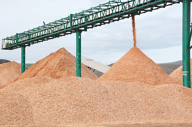 istock Wood chips delivered from mill by conveyor belt 164191660