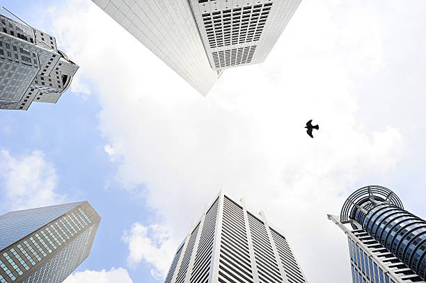 istock Singapore skyscrapers 164191778