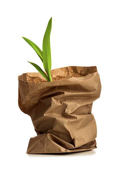 Bag with shallot
