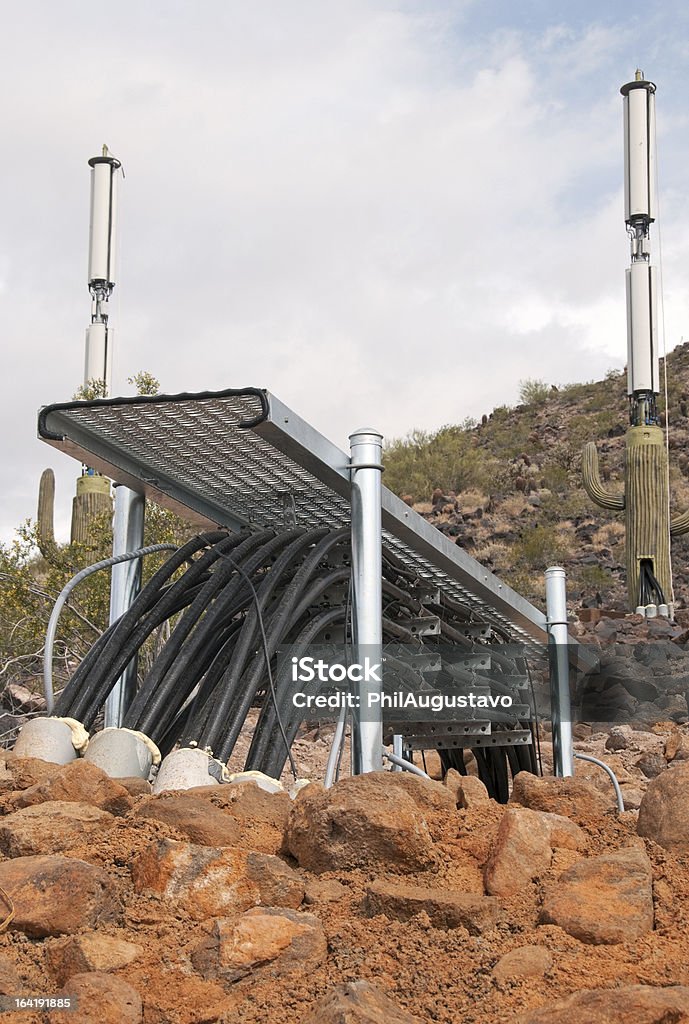 Cables para baterías towers con el pretexto de cactus saguaro en Phoenix - Foto de stock de Cable de conducción eléctrica libre de derechos
