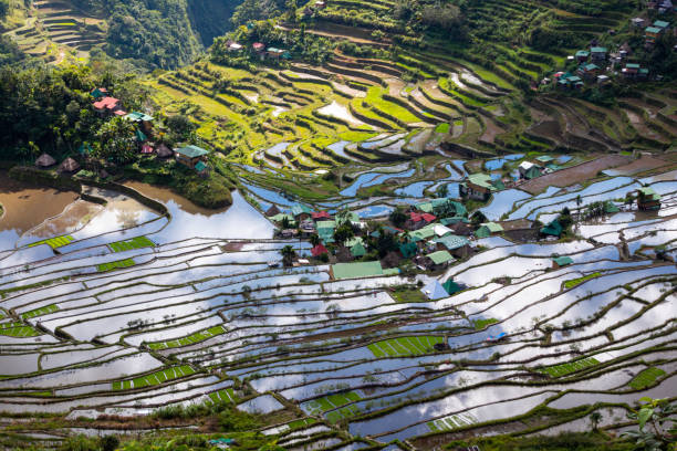 istock Close up view on the Batad village, Philippines 1641932426
