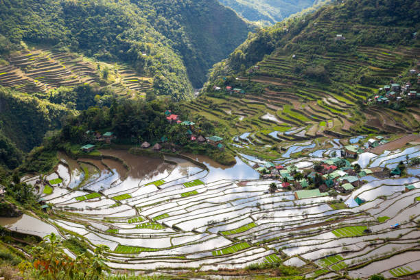istock Rice terraces making a circle near Batad, Philippines. 1641932427