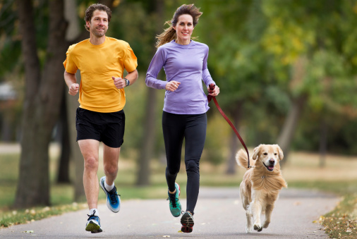Fit mid-adult couple jogging with Golden Retriever on a paved urban running trail. The man, woman and happy dog enjoy their run on a well maintained trail bordered by grass and leafy green trees.