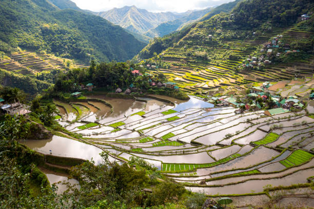 istock View from the lower viewpoint on Ifugao Rice terraces, Batad, Philippines 1641935742