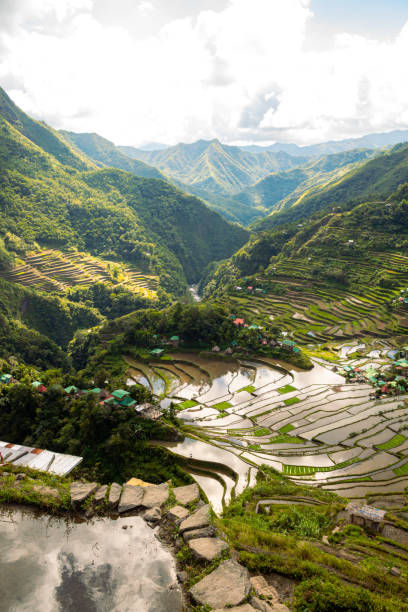 istock Vertical image of the cloudy day at Batad Rice terraces, Philippines 1641935743
