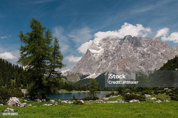 Lago Seebensee E Zugspitze - Fotografias de stock e mais imagens de Abeto - Abeto, Alemanha, Alpes Europeus